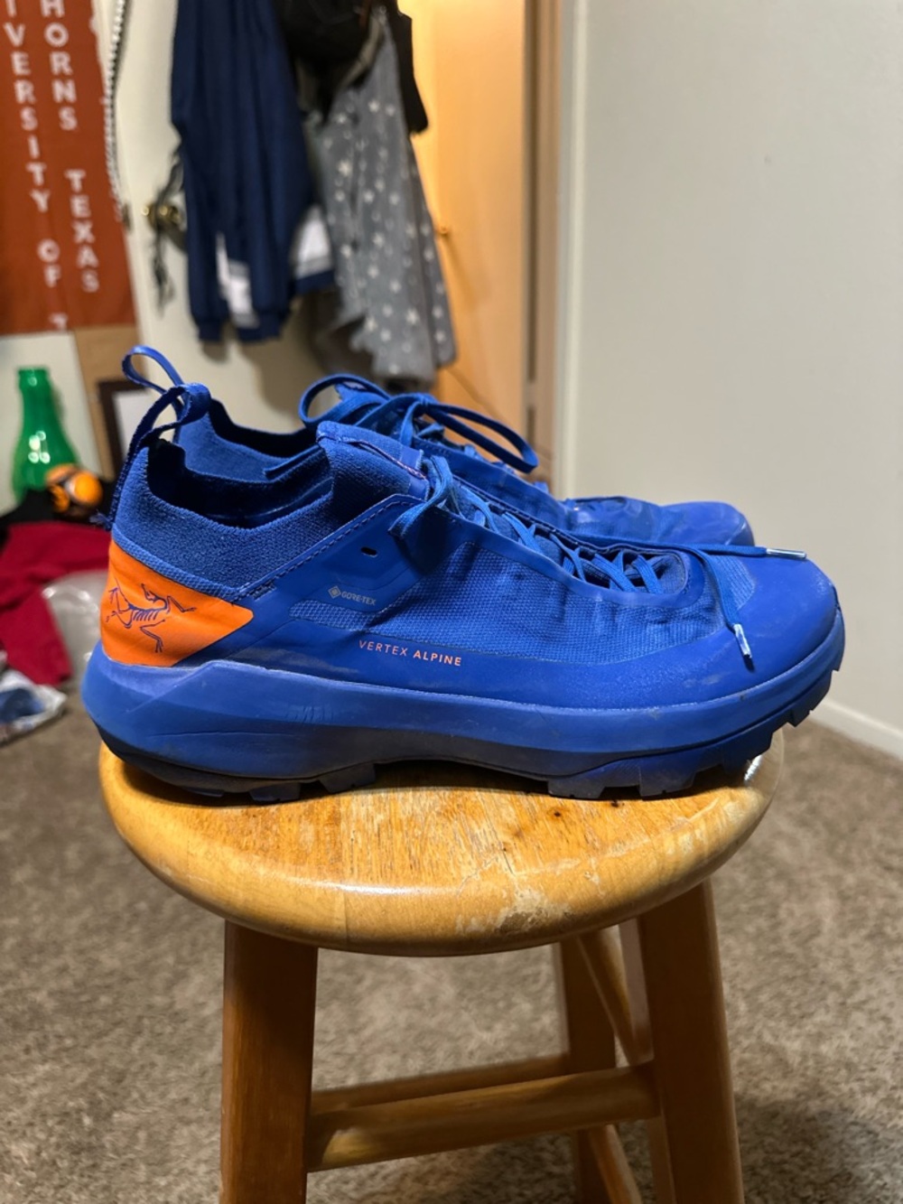Vintage Vertex Alpine GTX “triple royal” 00s size 10